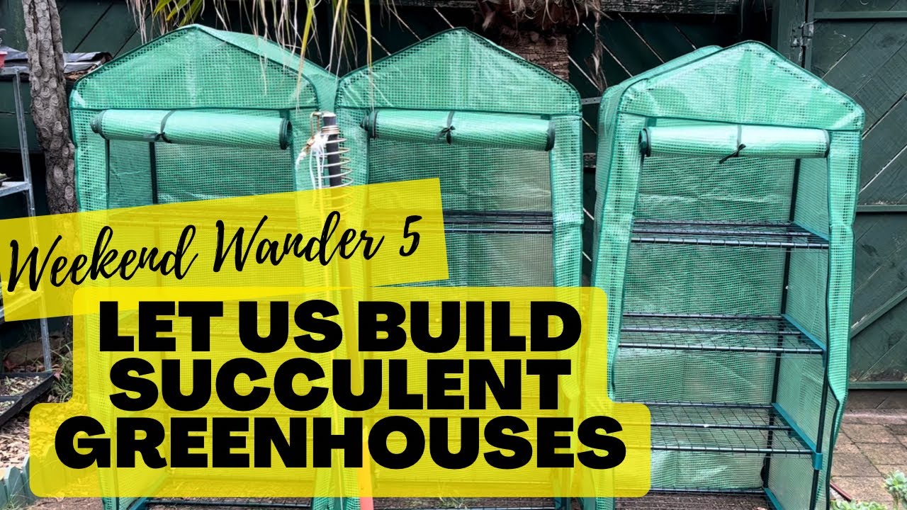 Building SUCCULENT GREENHOUSES (Weekend Wander Episode 5)