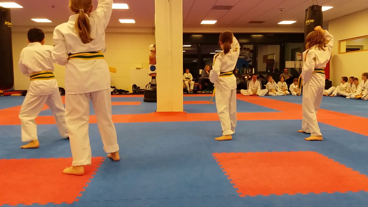 Budo Club Landau Kup Prüfung 07.12.2017 Gelb Grün