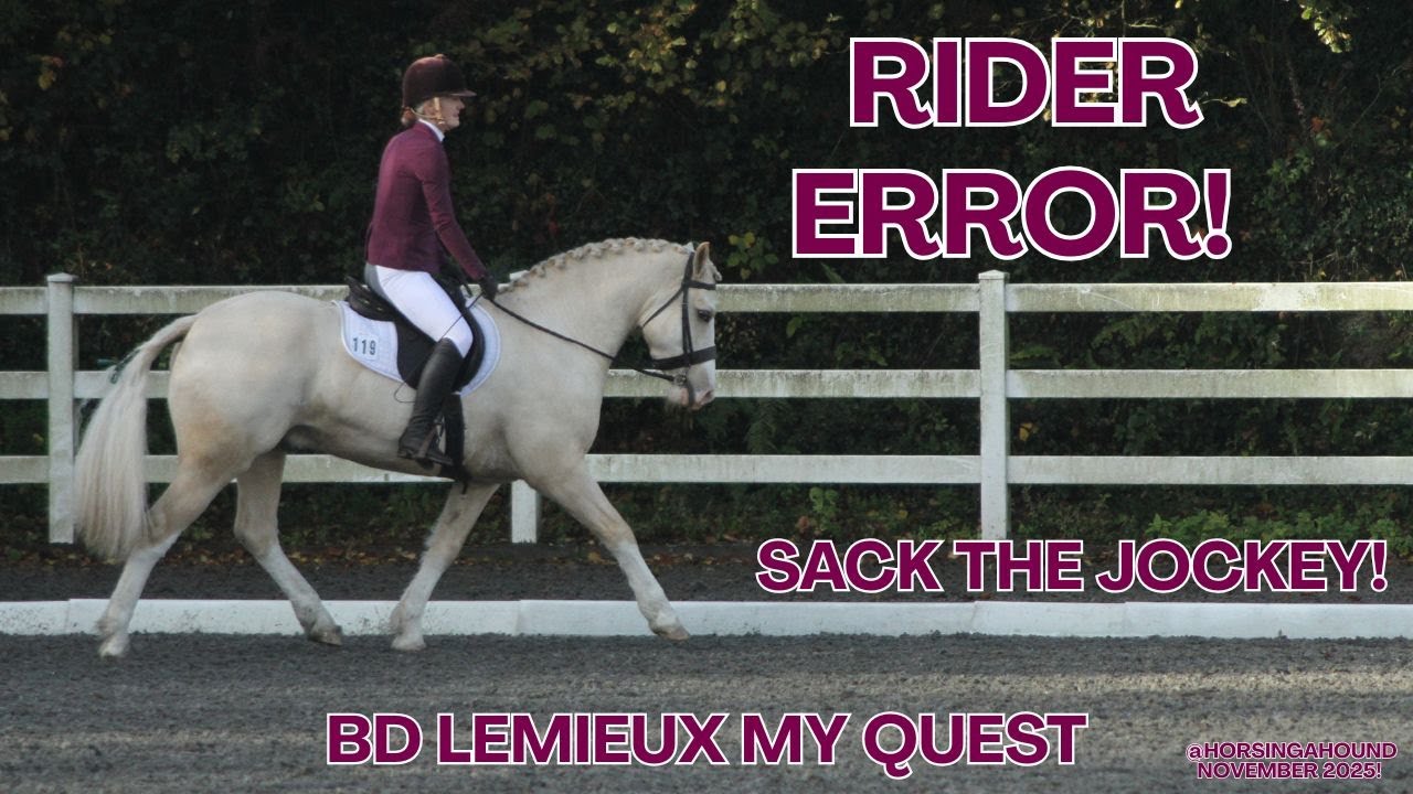 RIDER ERROR! I went wrong!