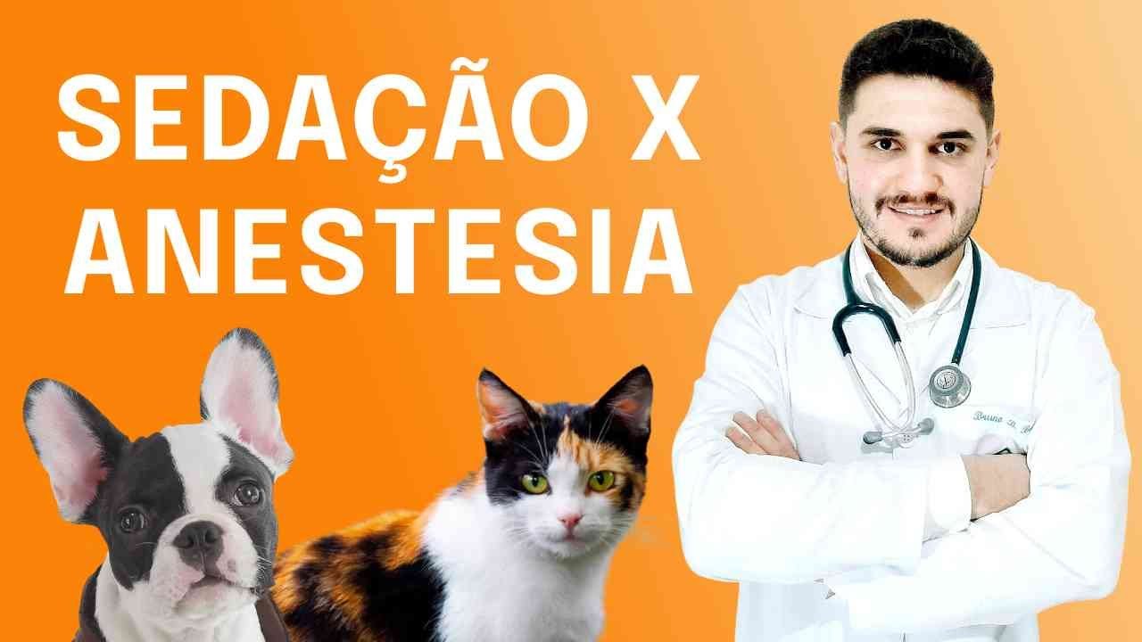 DIFERENÇAS ENTRE SEDAÇÃO E ANESTESIA