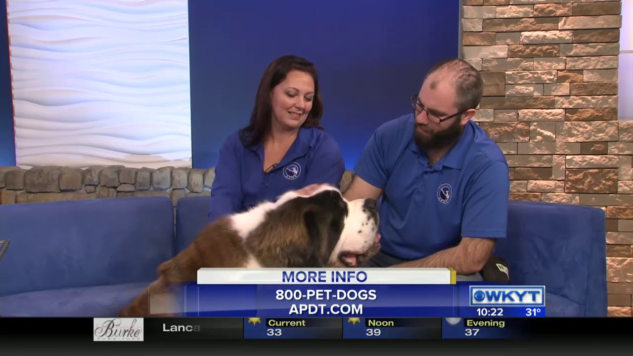Megan Stanley and Nick Hof - National Train Your Dog Month