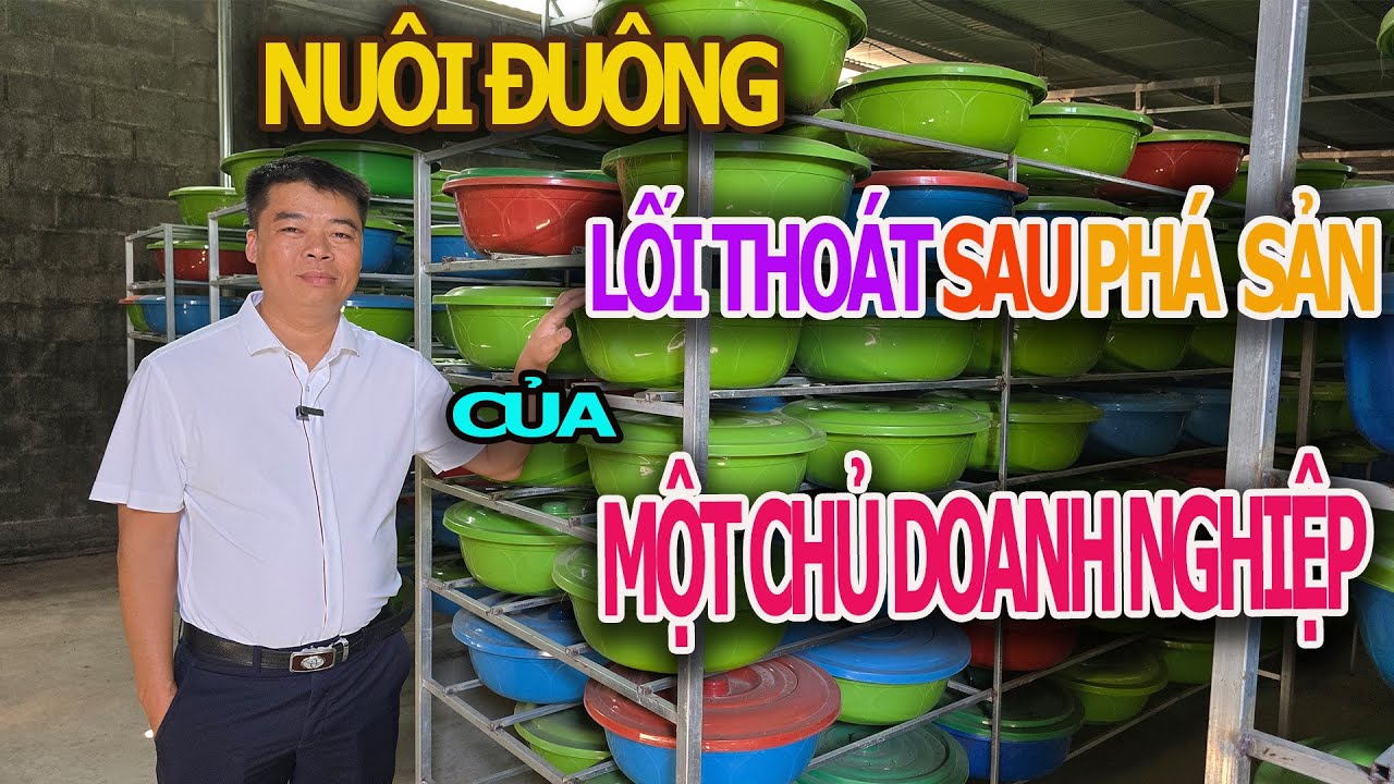 Vỡ Nợ , Bỏ Doanh Nghiệp - Anh Chuyển Sang Chăn Nuôi Đuông Dừa Và Thành Công Ngoạn Mục