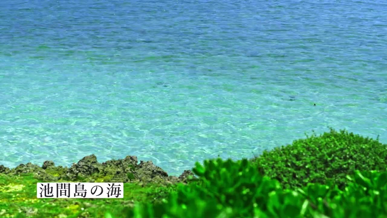 HPが完全回復する海