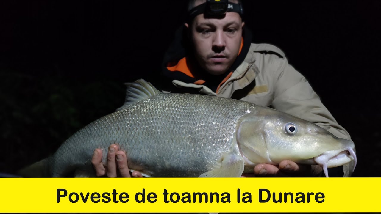 POVESTE DE TOAMNA LA DUNARE