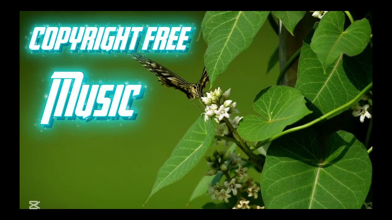 Butterfly-Patrick Patrikios|no copyright music for vlogging, blogs|copyright free music for YT video