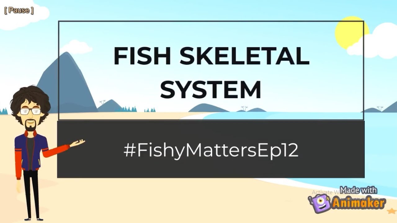 Скелетная система рыбы [Рыбные дела - Эпизод 12]