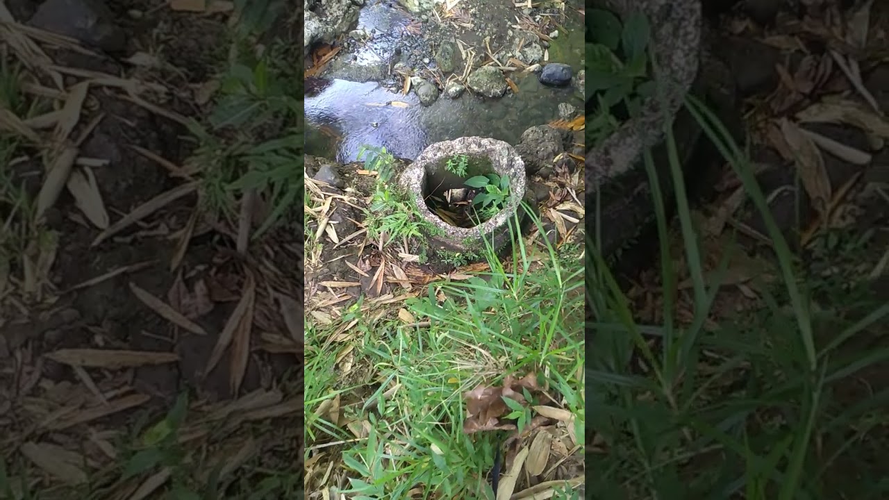 Ancient Water Well during World War 2 #treasureonthespot