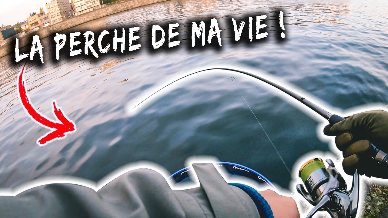 Perche en canal : la perche de ma vie ? ! 😱