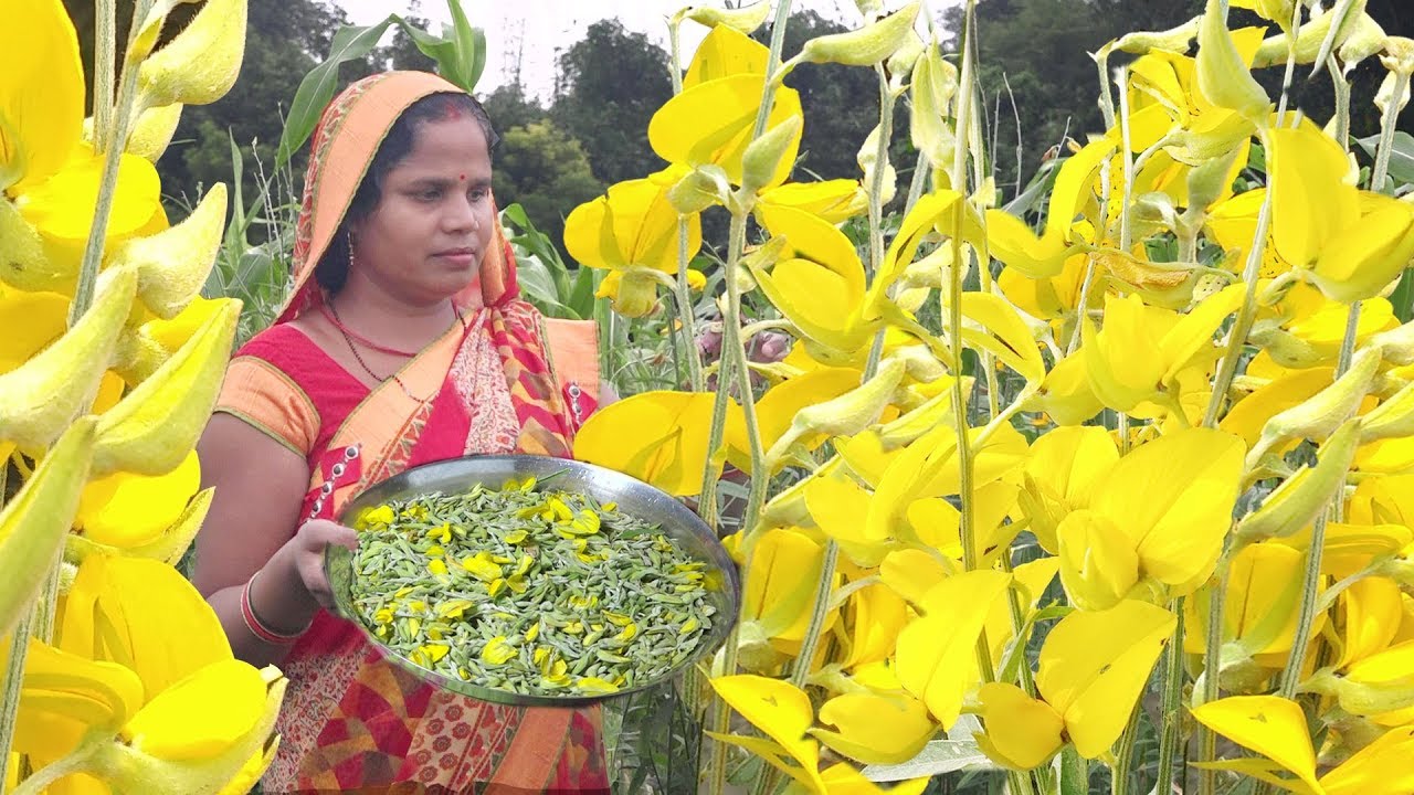 सनई के फूल की सूखा साग के सांग लहसुन और मिर्चा का तड़का लग जाए तो टेस्ट किए बग़ैर नहीं रह सकते