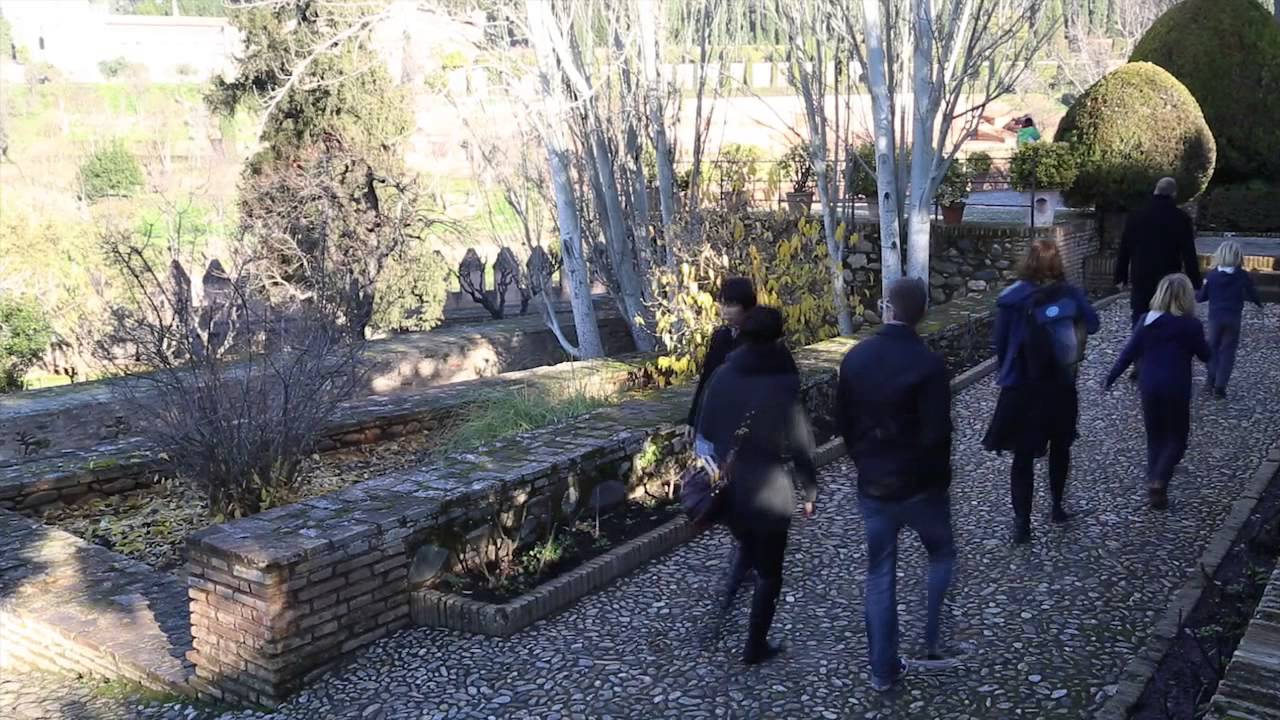 El macasar, planta del mes de Enero en la Alhambra