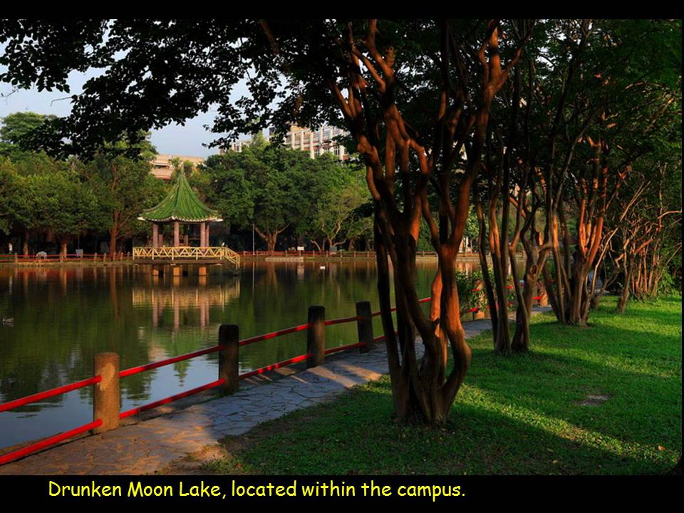 Welcome to National Taiwan University (HD)