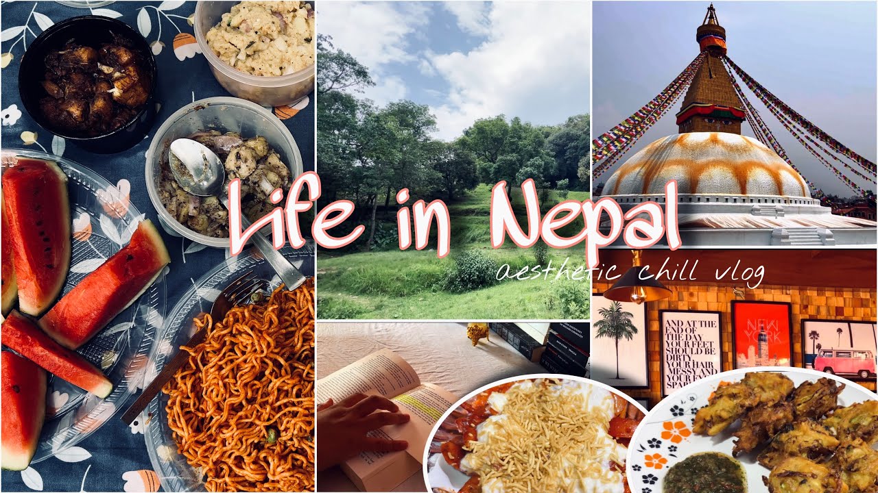 Day in my life 🎀🪴| Aesthetic vlog Nepali | Picnic vlog | Reading, Cooking, Traveling, & more