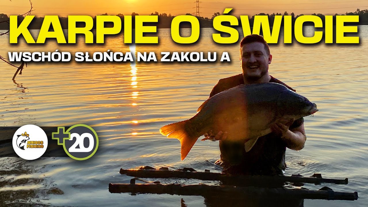 KARPIOWE ELDORADO o WSCHODZIE SŁOŃCA! - Jak biorą ryby o świcie w upalne dni?