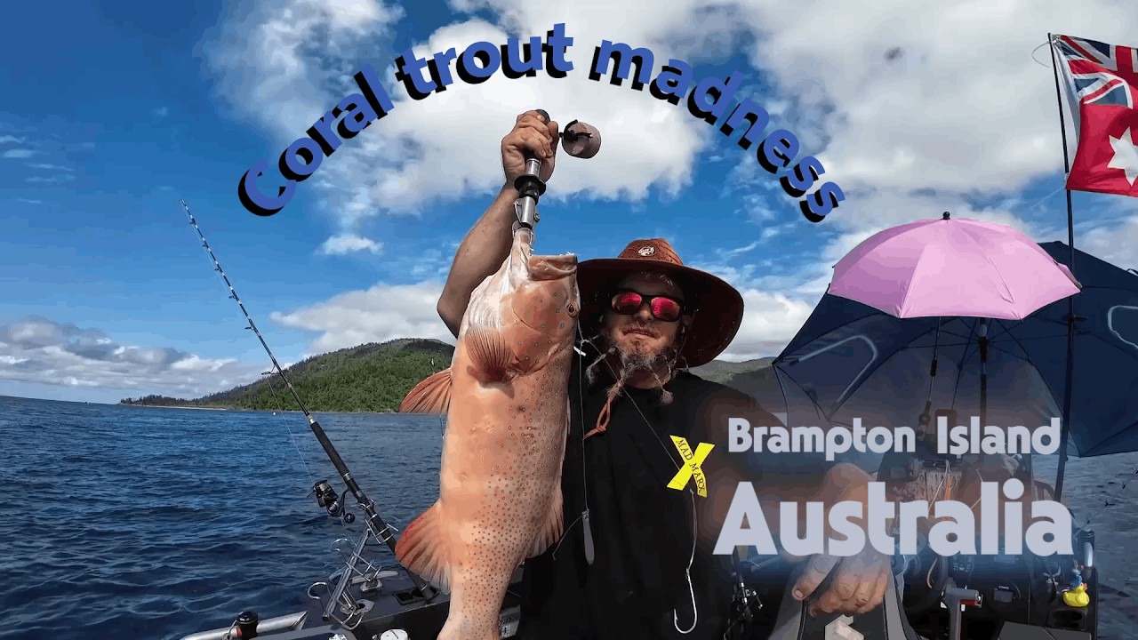 Monster Coral Trout Session off Brampton island, Mackay,Queensland, Australia.