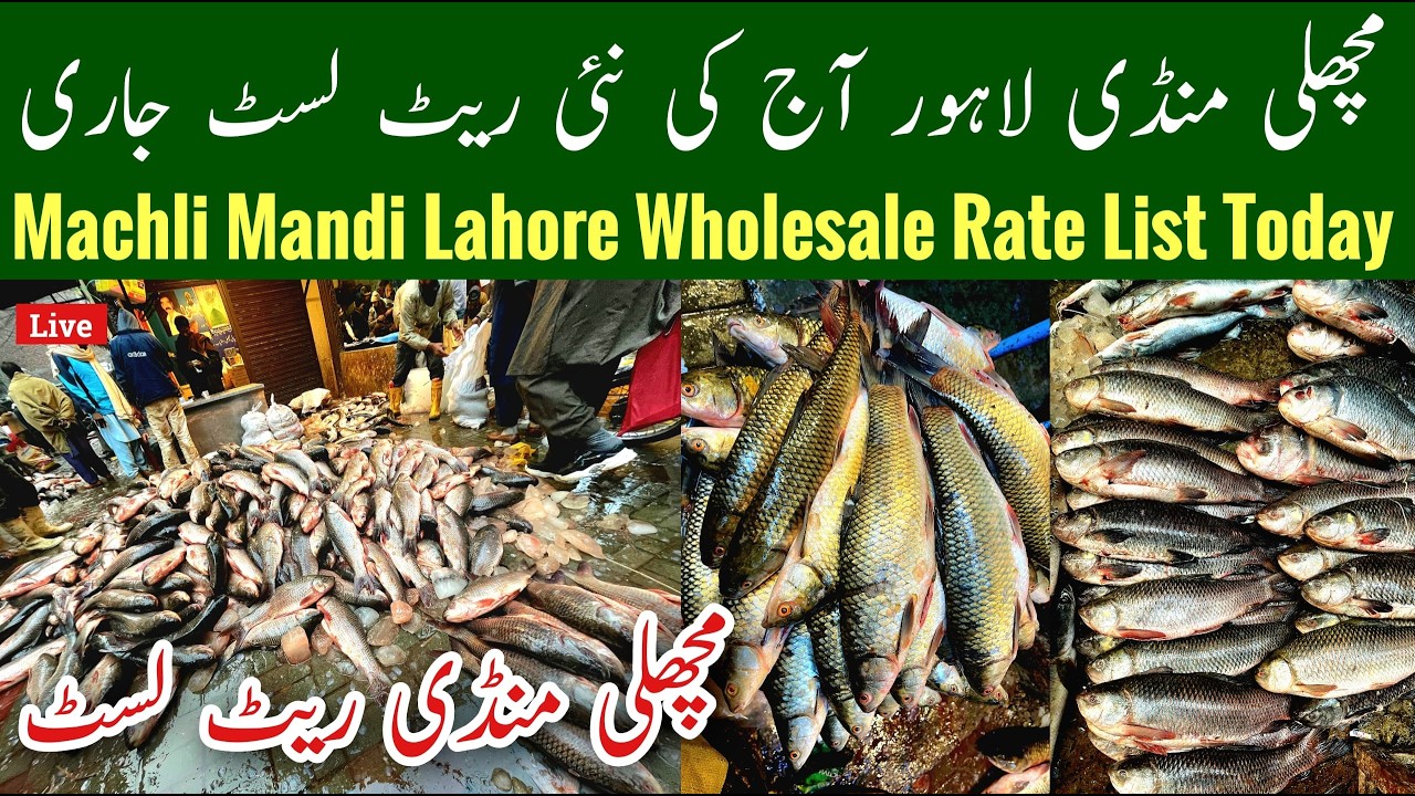 Fish Mandi Lahore, Lahore Sasti Machli Market, Machli Mandi Lahore Location, Fish Prices, Mr Phirtu