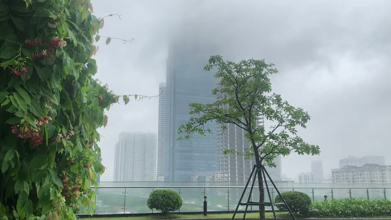 Nature's Magic Baru 119157392 - Capturing the Most Enchanting Views