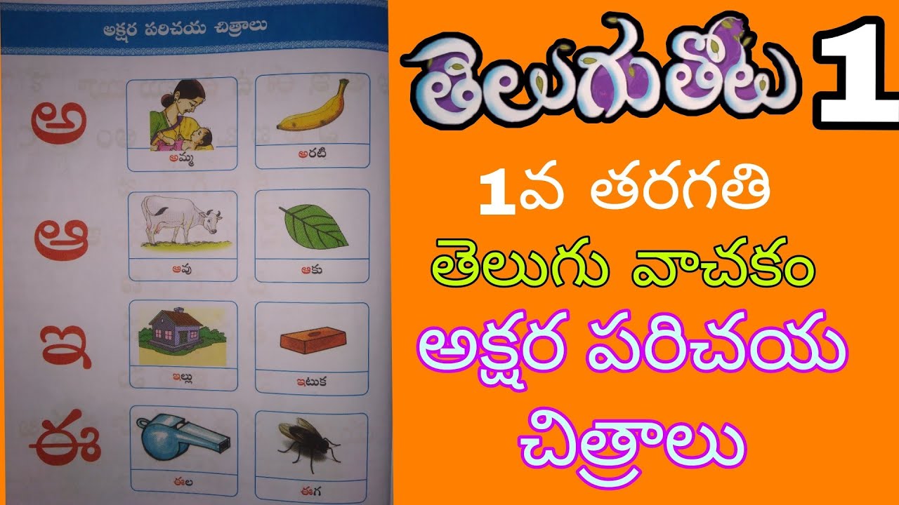 అక్షర పరిచయ చిత్రాలు | 1st class telugu | Akshara parichaya chitraalu | telugu thota 1