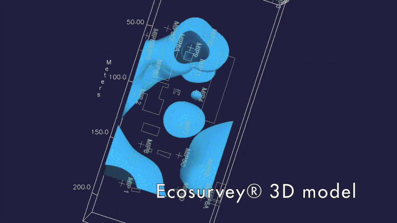 Ecosurvey&reg; DNAPL 3D Model