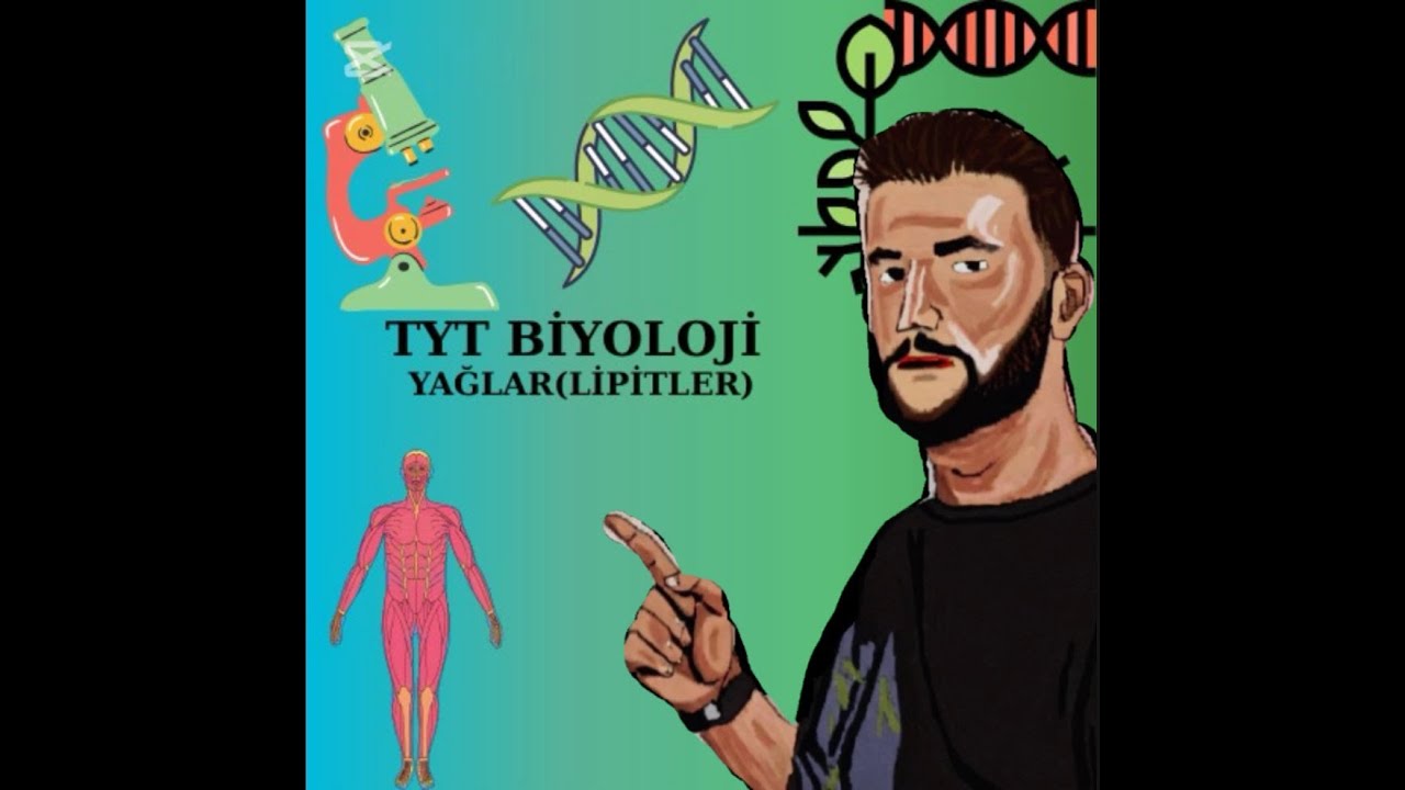 TYT BİYOLOJİ: YAĞLAR  (LİPİTLER)