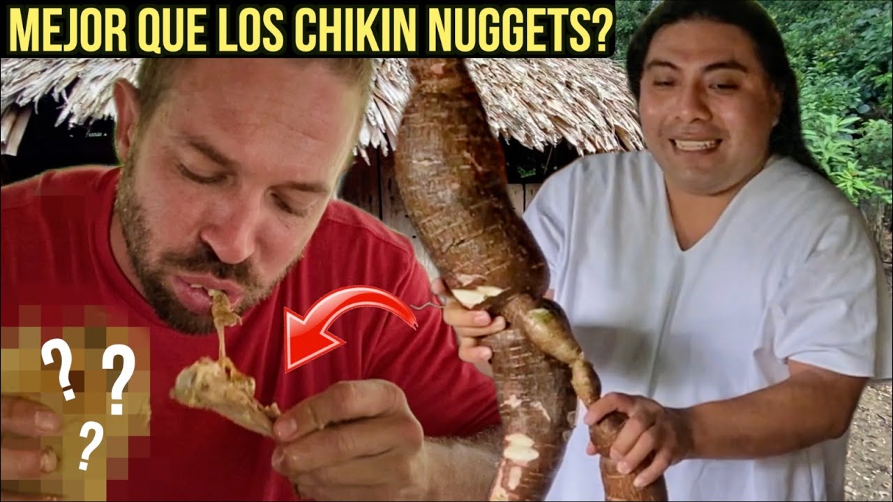 Probé ESTA Comida Mexicana de la SELVA con los Maya Lacandones