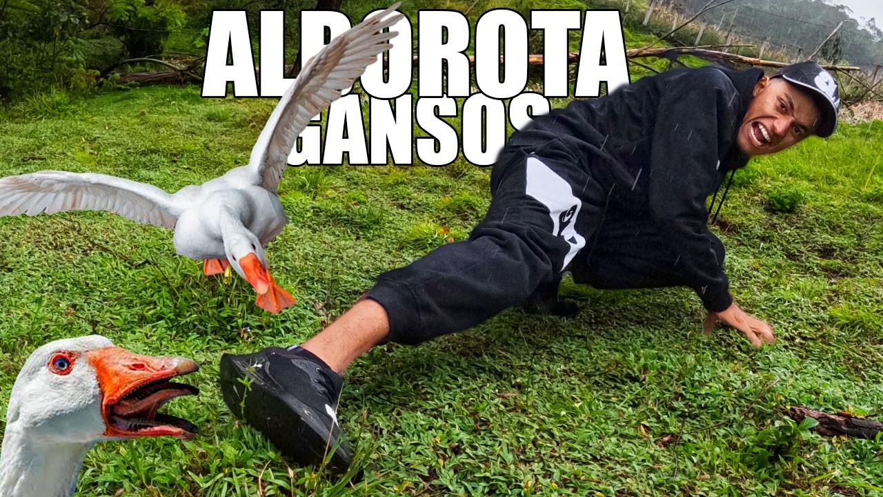 Alborotando Gansos 🪿*Me Picaron* - Andr&eacute;s WG