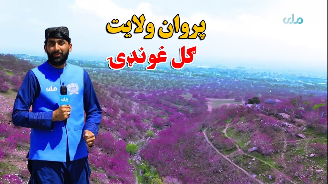 لاروی | د پروان ولایت ګل غونډۍ سیمې ښکلاوې