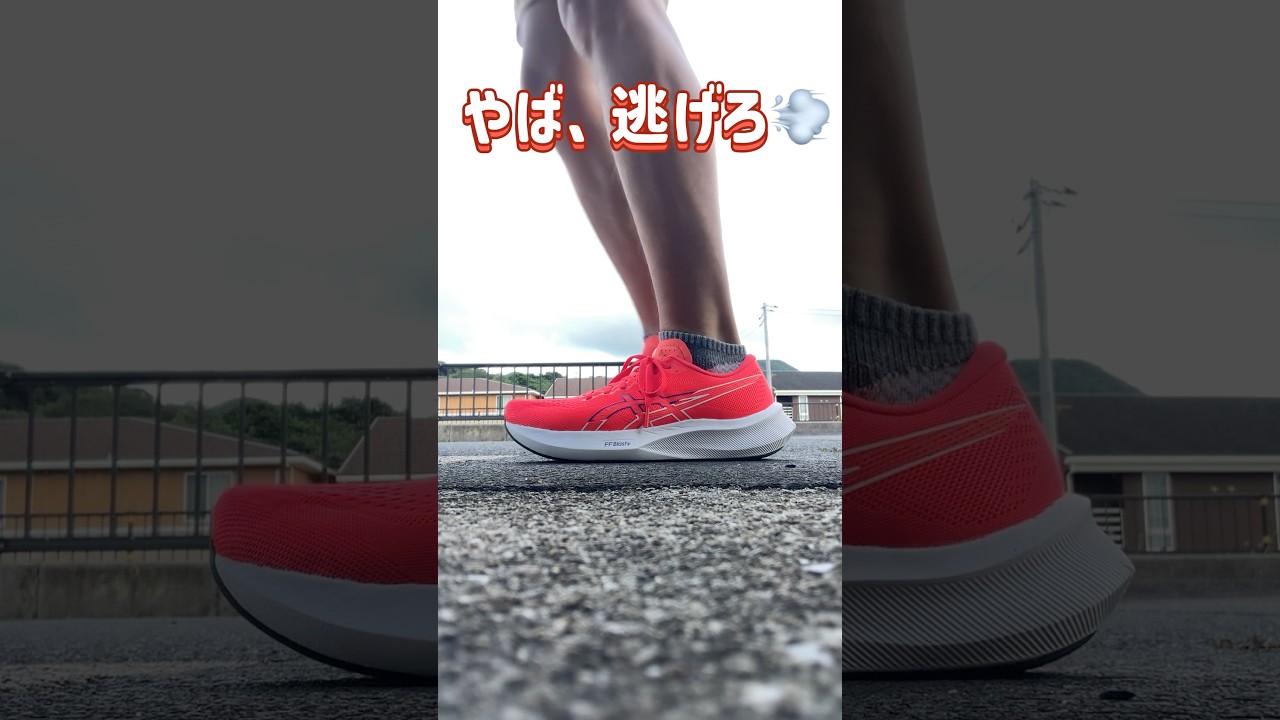 アシックス！エボライドスピードがやってきた！ 