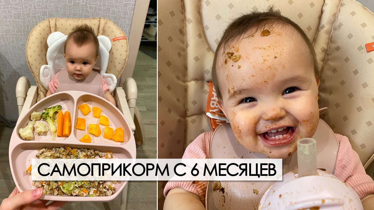 самоприкорм | кусочки с 6 месяцев | мой опыт введения прикорма