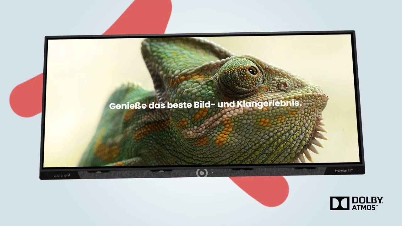Prowise Touchscreen Max (DE)