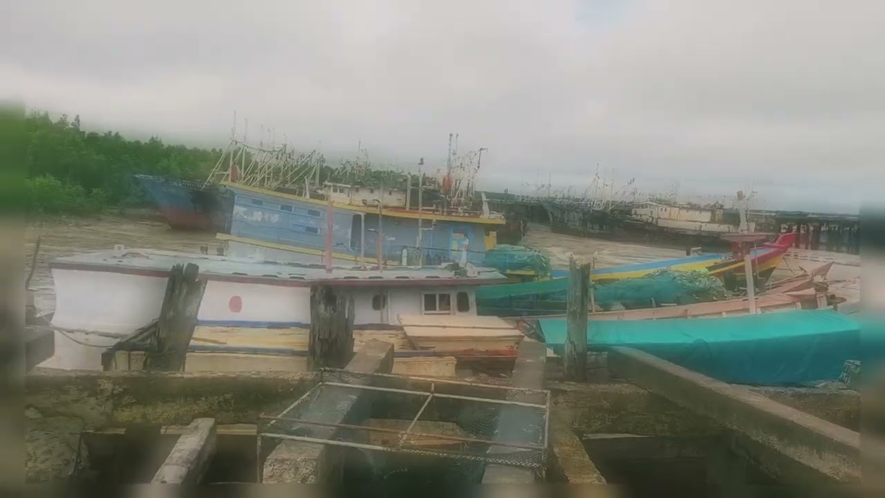 SUASANA TERKINI KOTA WANAM MEI 2025
