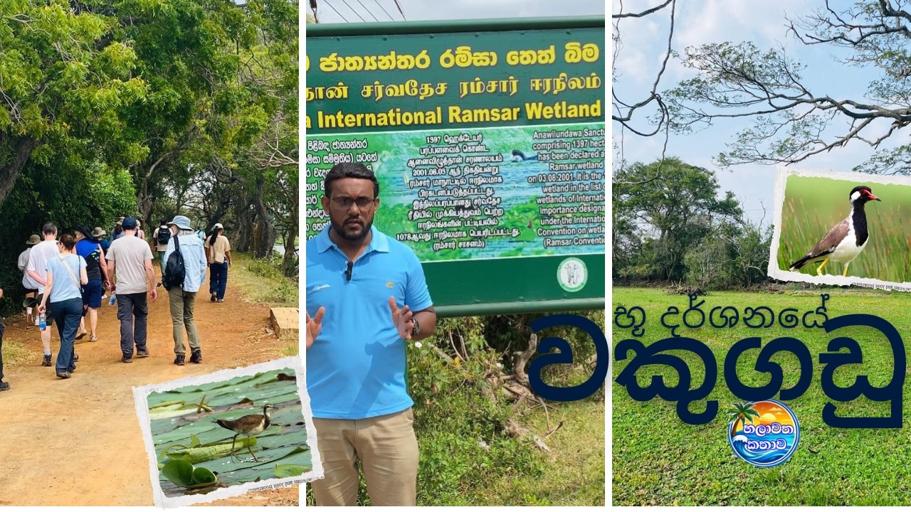 භූ දර්ශනයේ වකුගඩු - රැකගමු අපි නිරතුරු
