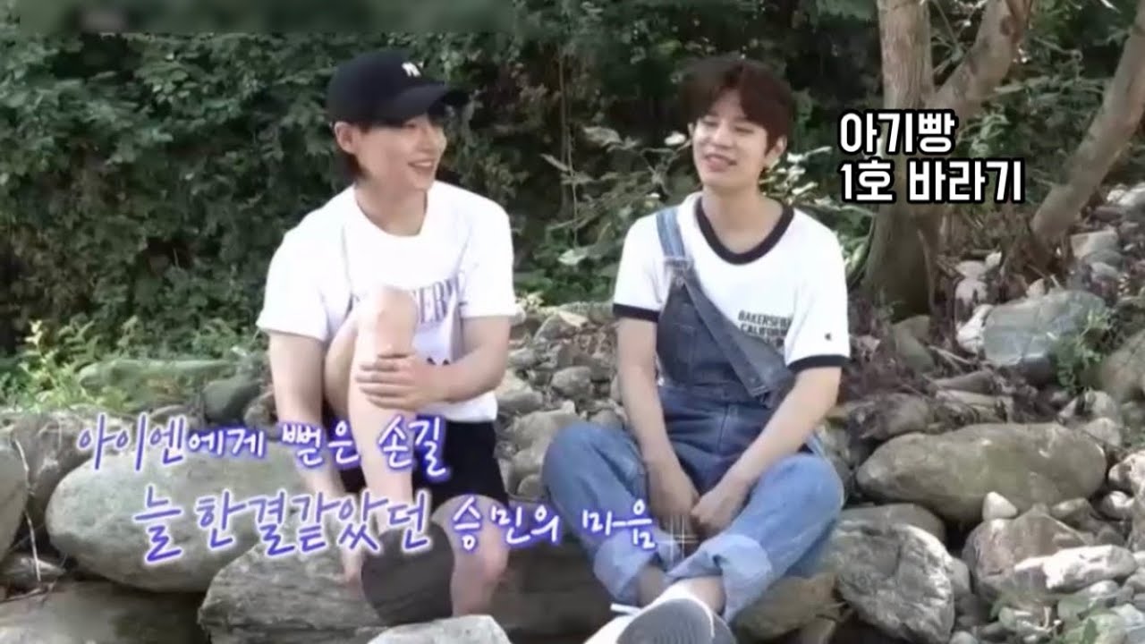 [스트레이키즈] 아기빵 바라기 강쥐