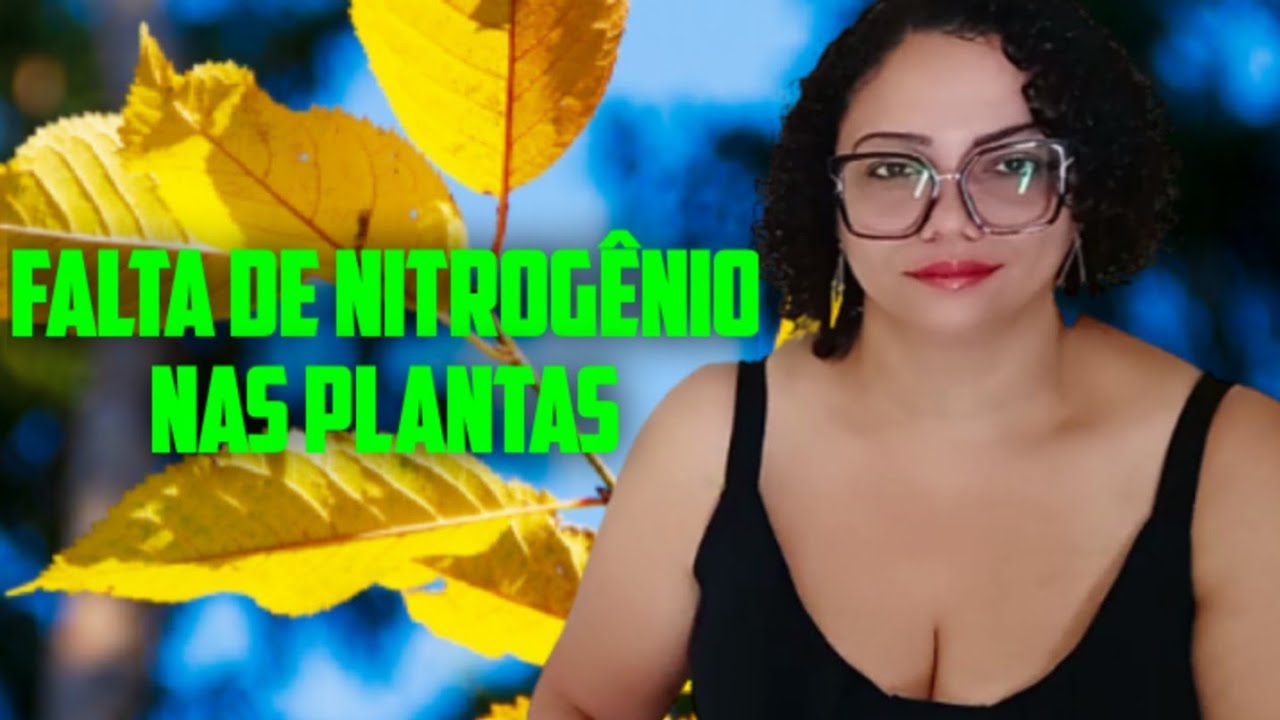A FALTA DE NITROG&Ecirc;NIO NAS PLANTAS