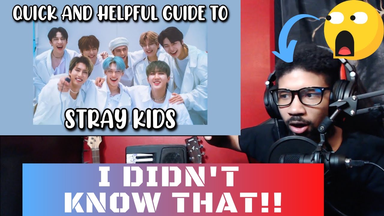 PRODUCER REACTS | QUICK AND HELPFUL GUIDE TO STRAY KIDS (FIRST TIME REACTION)