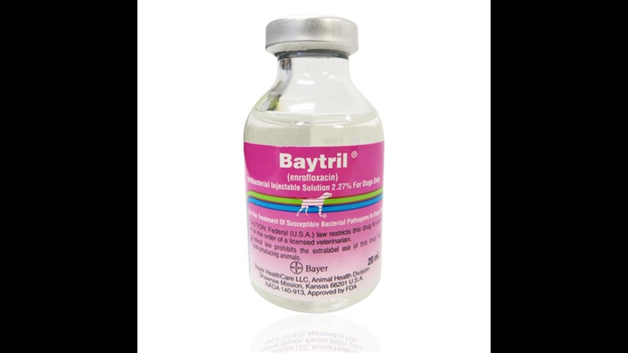 Baytril Injectable Solution