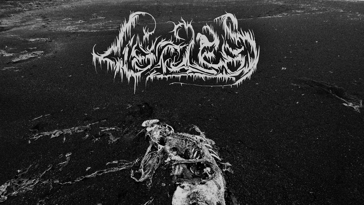 LISTLESS - Devoid (Depressive Black Metal)