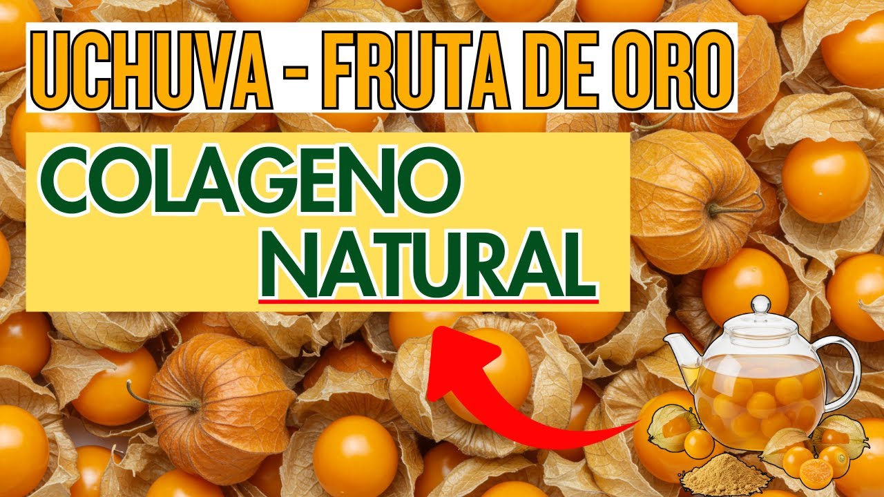 10 BENEFICIOS de la UCHUVA ✅ La FRUTA de ORO Antiarrugas y Superalimento Natural
