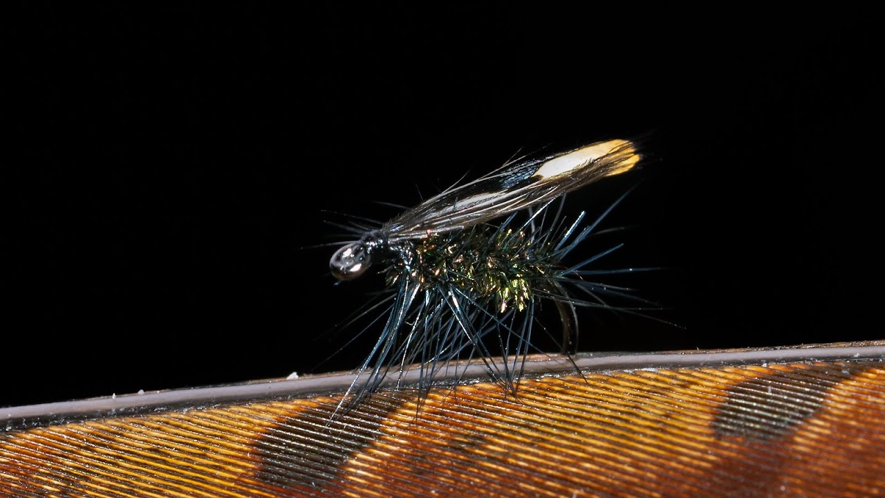 Flytying Jassid eine genial einfache Trockenfliege