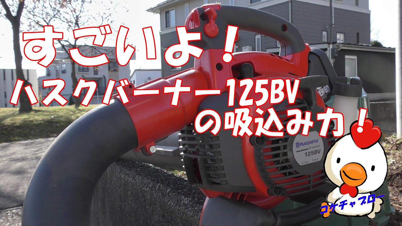 【エンジンバキューム】ハスクバーナー125BVの吸込み力！　　コケちゃぶろー