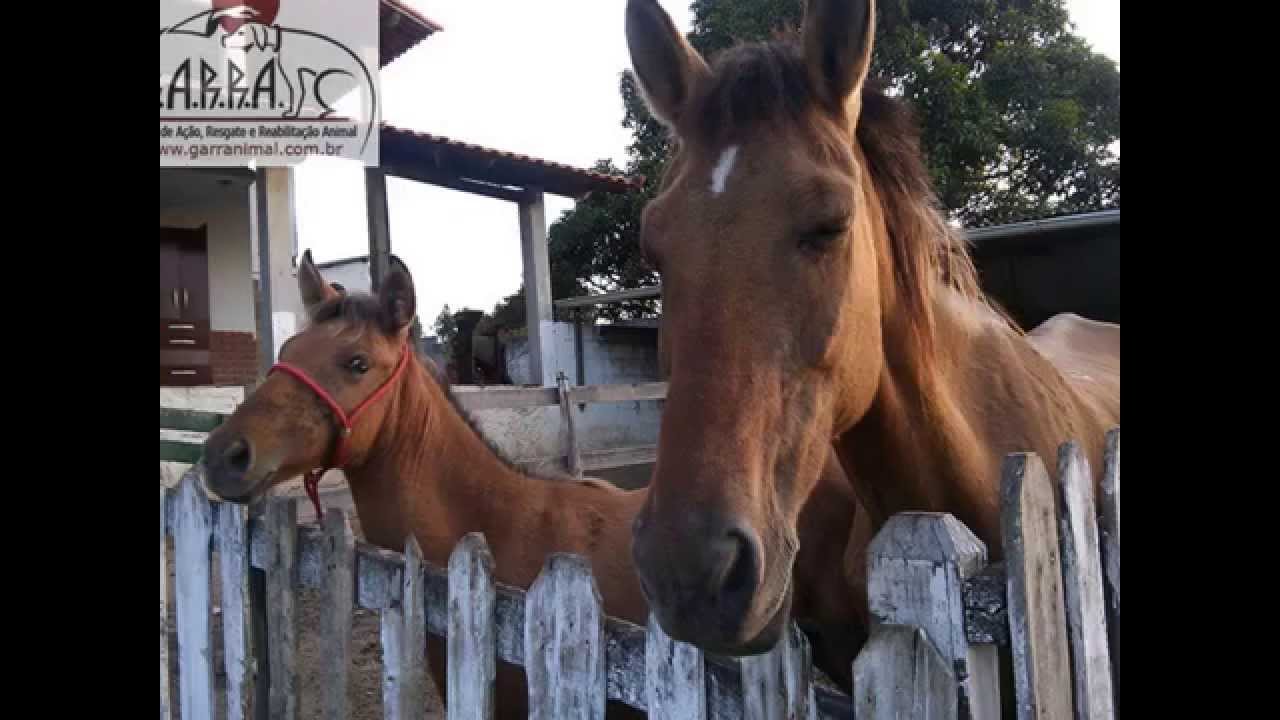 As &eacute;guas do G.A.R.R.A. Arianna e Paulinha!