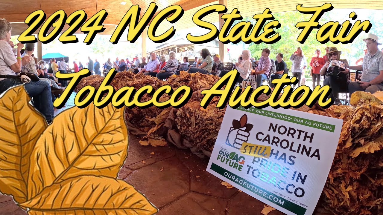 Tobacco Auction at the 2024 NC State Fair | Raleigh, NC #farmall51 #tobaccoAuction #ncagriculture
