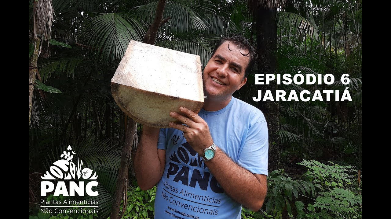 EPISÓDIO 6 - JARACATIÁ | #pancnaveia #valdelykinupp