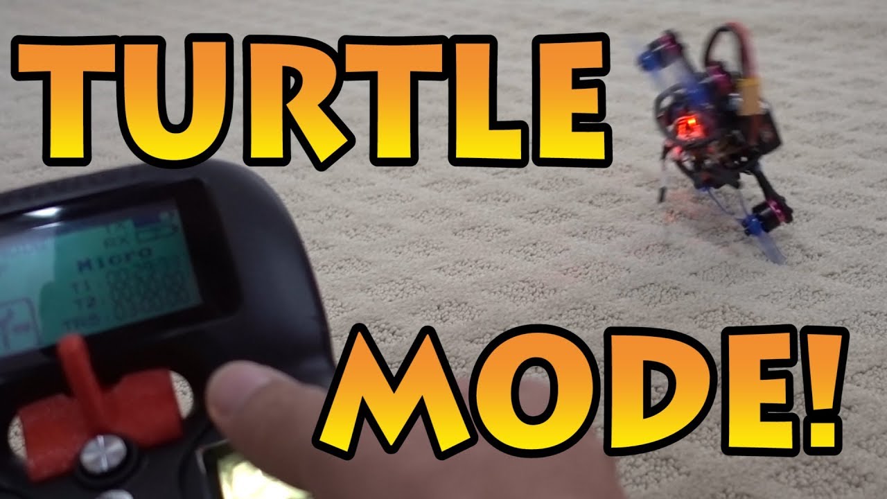 No More Walk of Shame! 🐢 Turtle Mode Power! ⚡