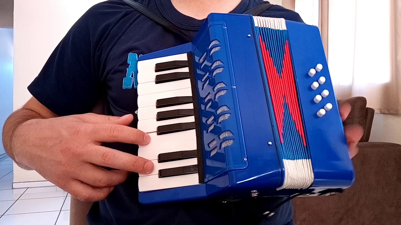 As andorinhas acordeon 8 baixos vídeo aula