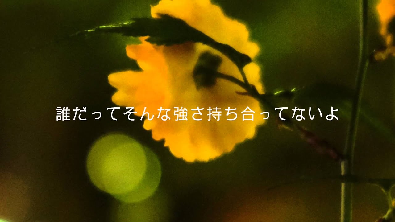 TOTALFAT - This Life