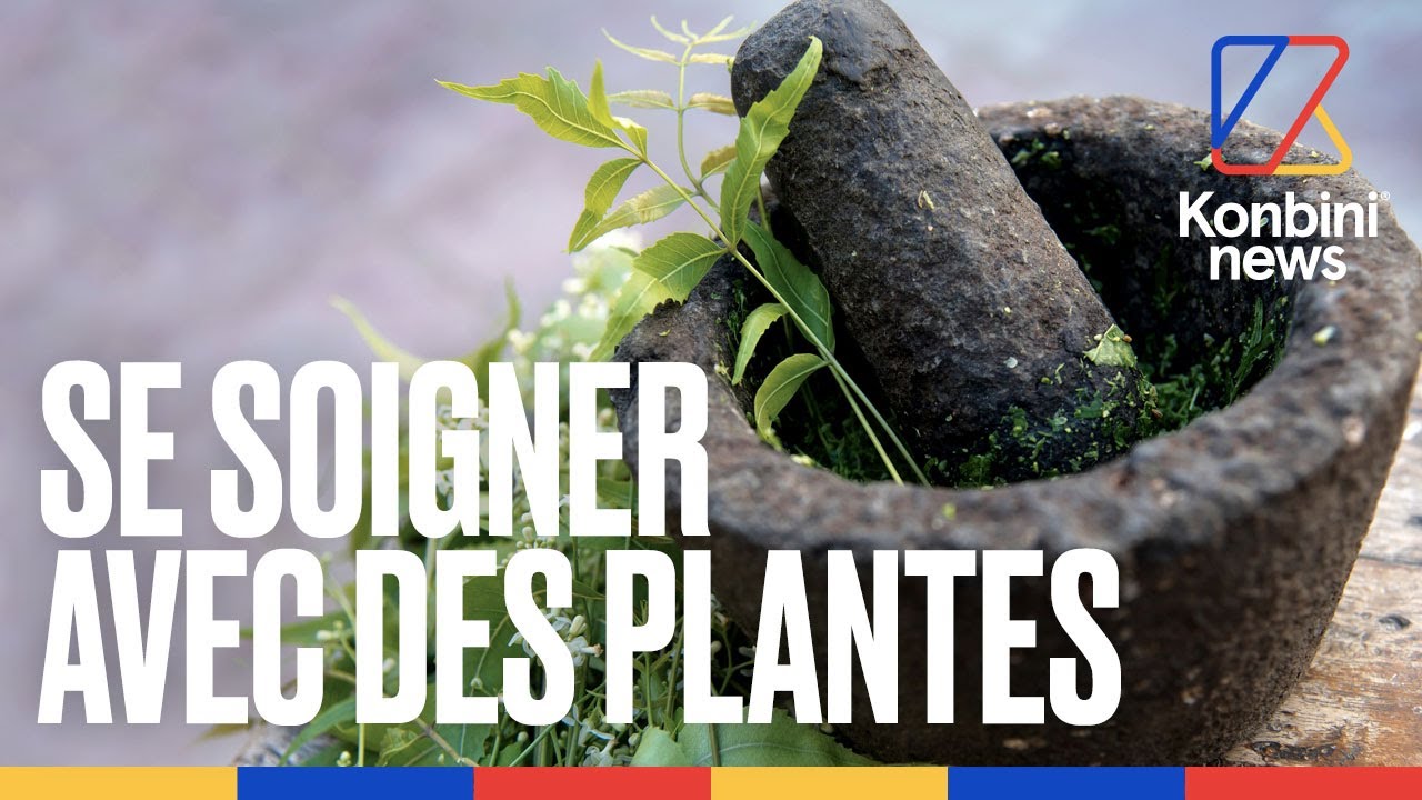 Et si on recommençait à se soigner avec des plantes ? Voici Anaïs, productrice d'herbes médicinales