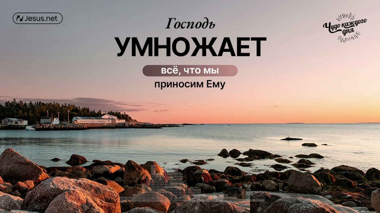 Господь умножает всё, что мы даём Ему | Чудо каждого дня