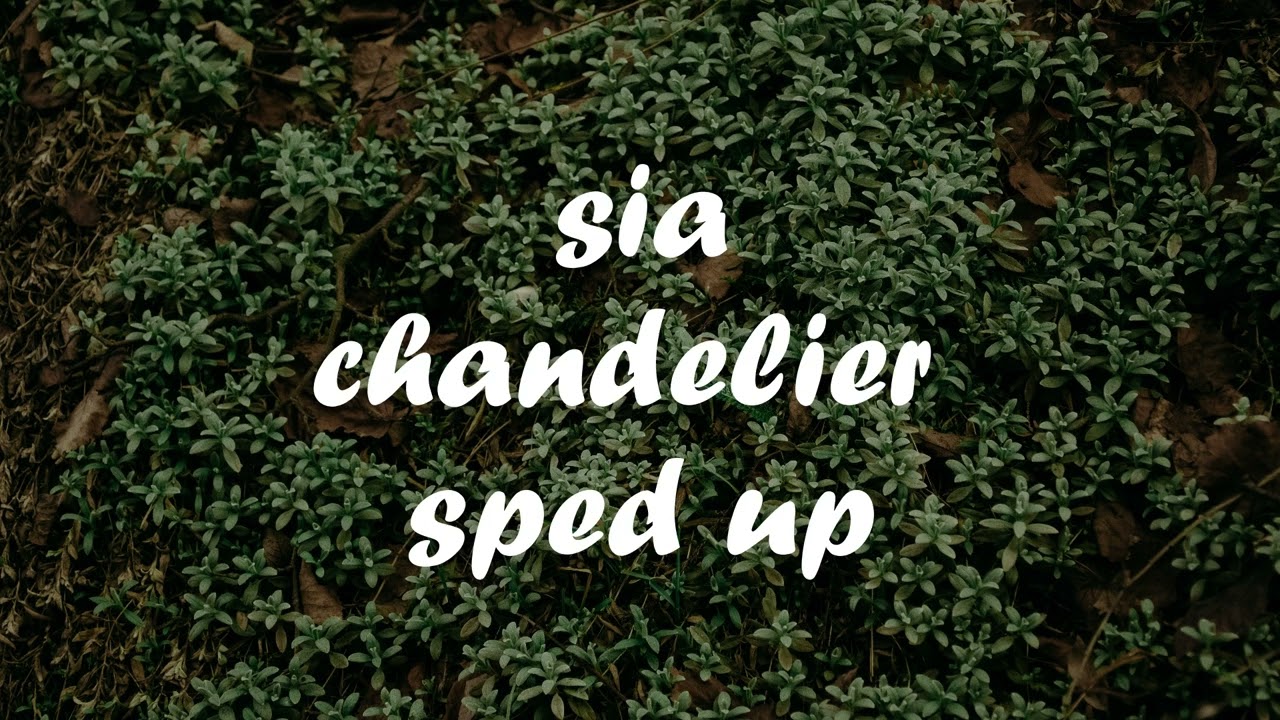 sia- chandelier (sped up)