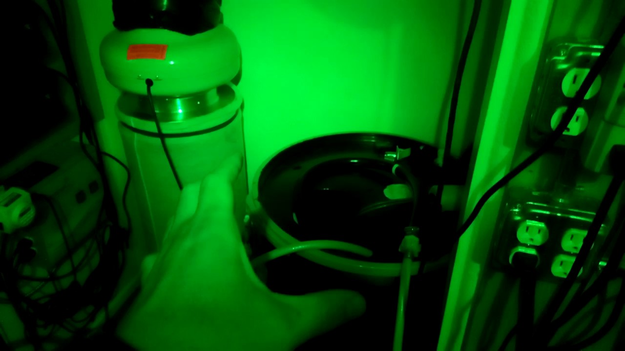 Ep6, pt1 Dwc Current Culture H2O Water Change