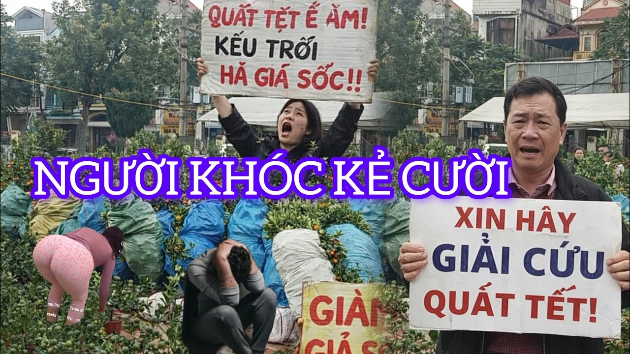 29 TẾT QUẤT CÒN CHẤT ĐỐNG 1000 NGƯỜI XEM 3 NGƯỜI MUA KINH TẾ BUỒN 